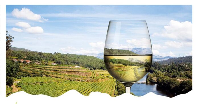 Rota dos Vinhos Verdes