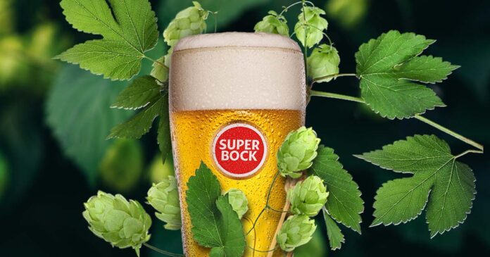 SBG_Ação Lúpulo s Super Bock Casa da Cerveja