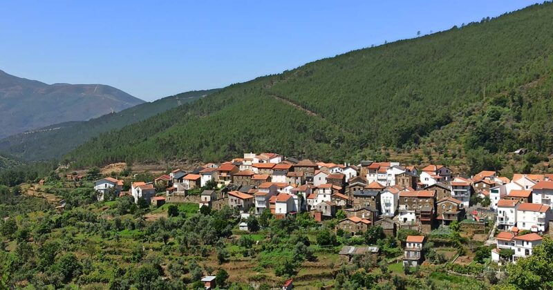 Cabe&ccedil;a