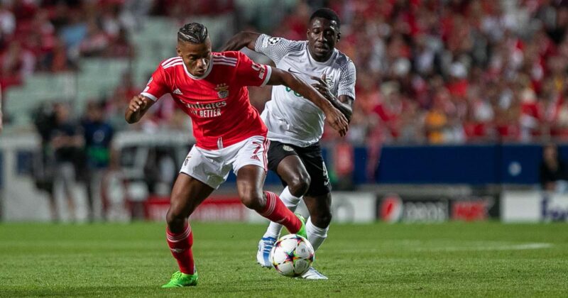 Benfica na Liga dos Campe&otilde;es