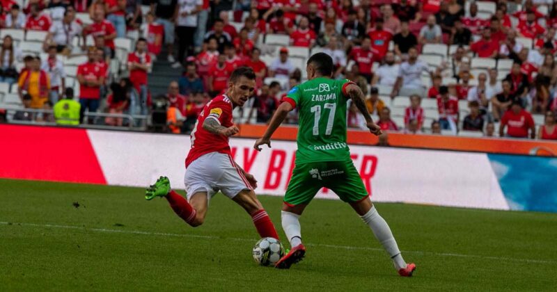 Est&aacute;dio da Luz
