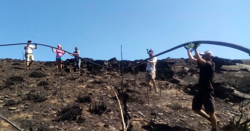 Guardi&otilde;es da Serra da Estrela