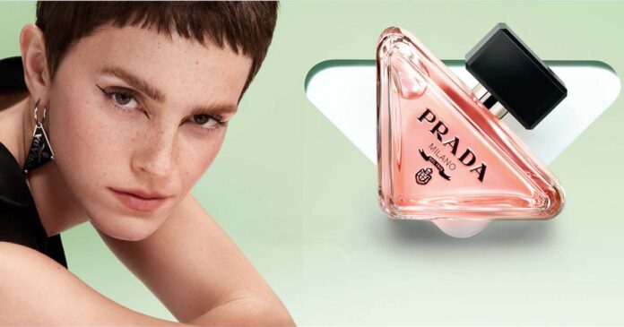 Prada Paradoxe