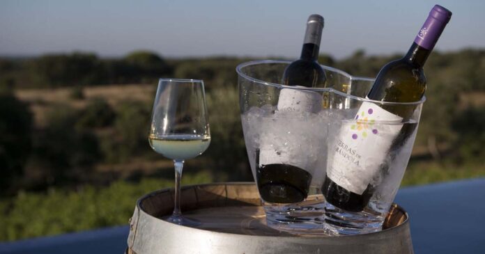 Apreciadores de vinho s Apreciadores de vinho