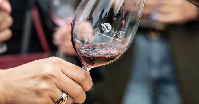 Condeixa Winefest