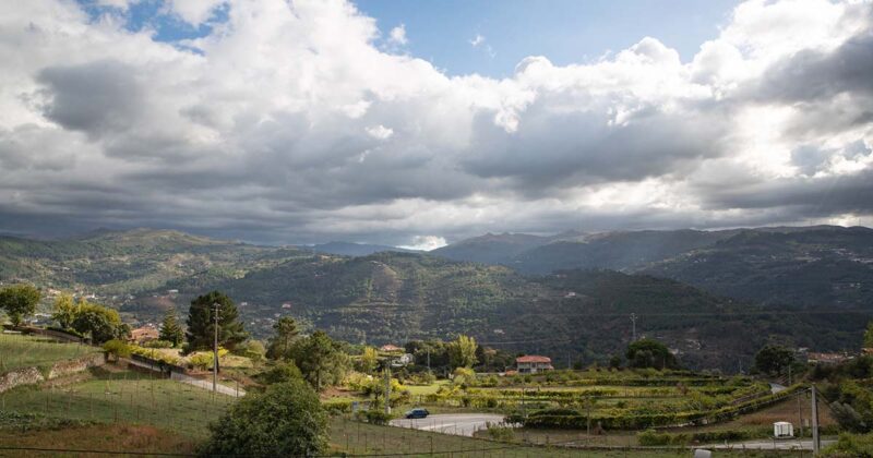 Douro e T&acirc;mega