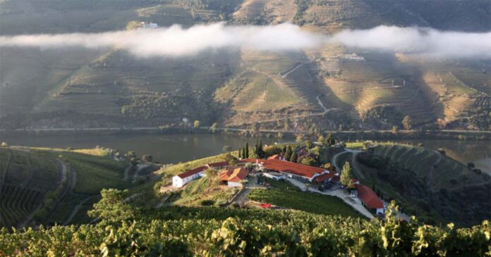 World’-Best-Vineyards