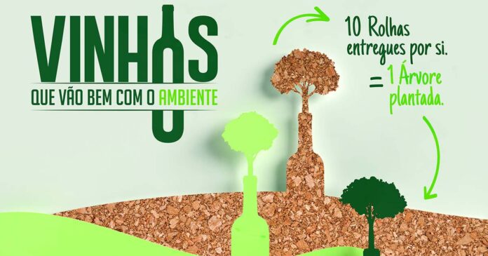 Vinhos-ambiente