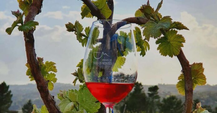 Vinhos-Tras-os-Montes