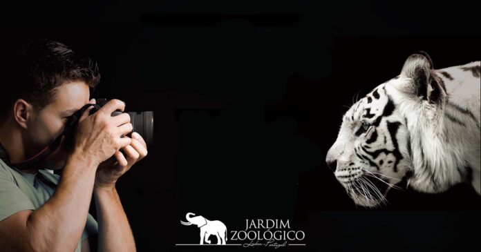 Jardim Zoológico Workshop Fotografia jardim zoológico educação ambiental