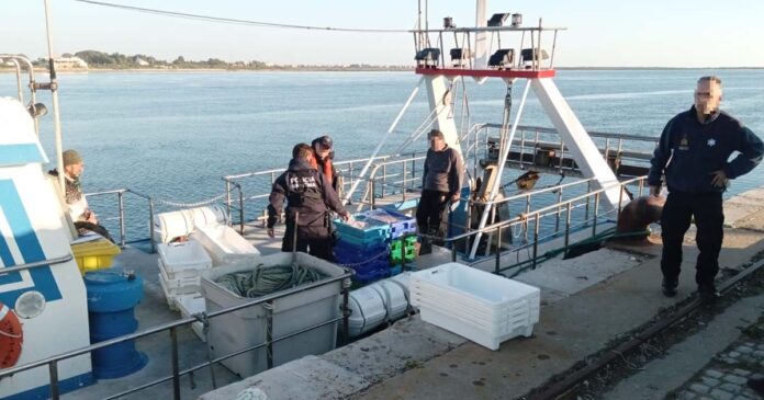 pesca ilegal no Algarve