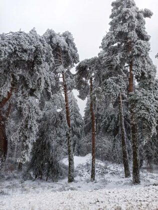 Serra da Estrela neve