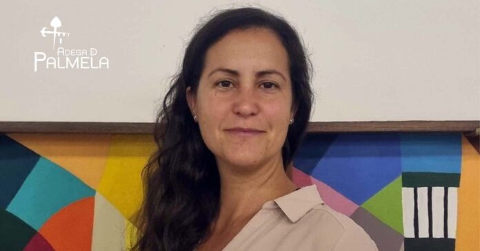 Ana Aguiar Costa Adega de Palmela