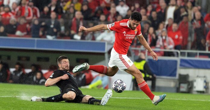 vitória Benfica club brugge
