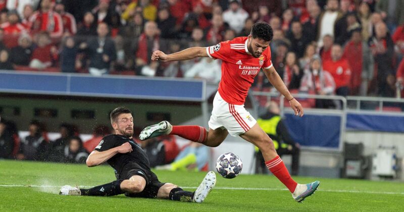 vit&oacute;ria Benfica club brugge