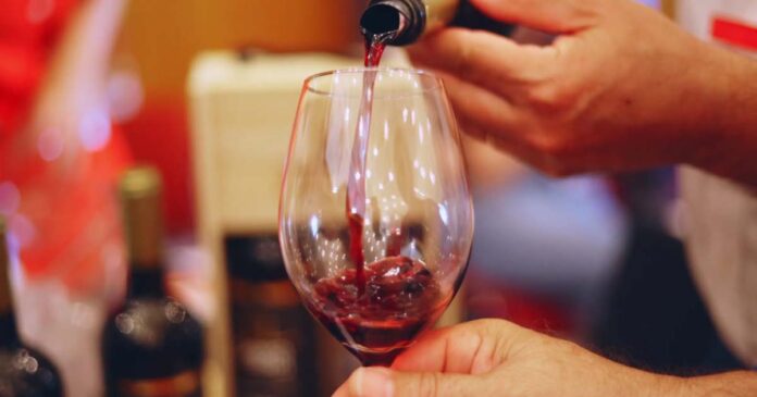 Vinhos a Descobrir Spring Edition Vinhos a Descobrir Spring Edition
