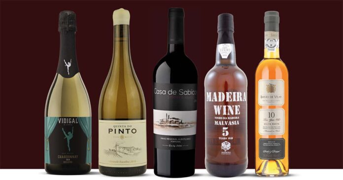 Wine Concept Wine Concept vinhos gastronomia