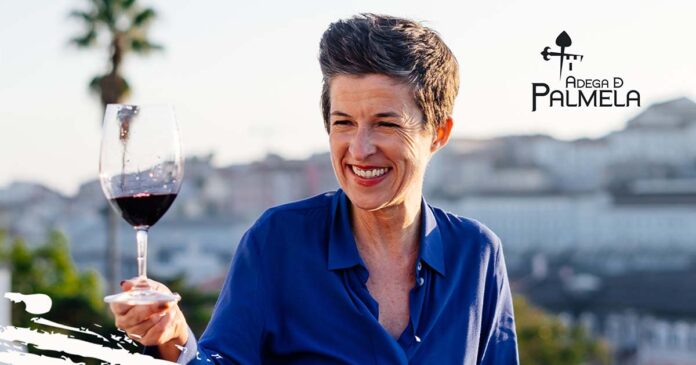Provar Vinhos como um Profissional vinhos Adega de Palmela
