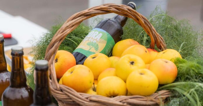 Sidra biológica Madeira