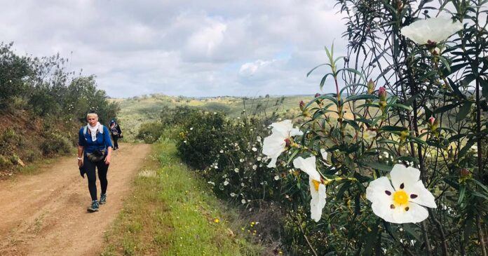 Walking Festival Ameixial
