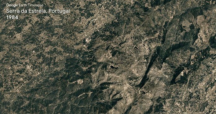 Google Earth Timelapse