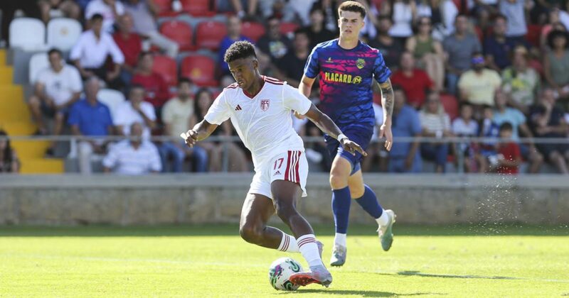 Aves