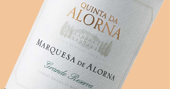 vinho Papa Francisco