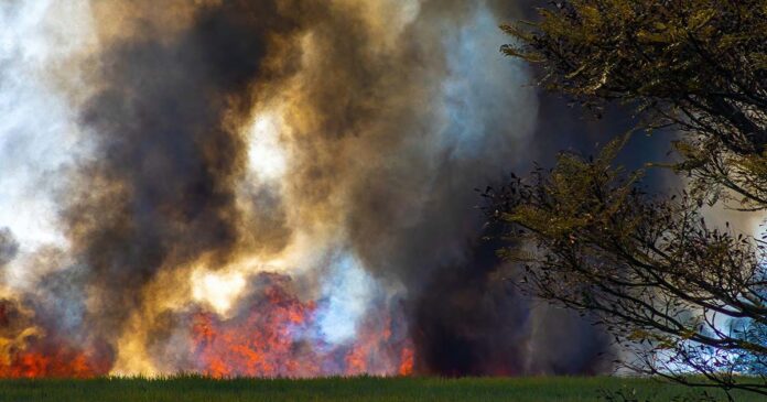 Incêndio Penamacor
