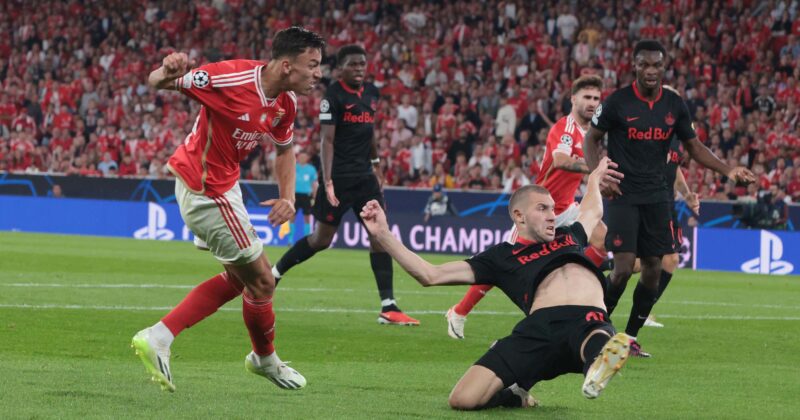 Benfica Liga Campe&otilde;es