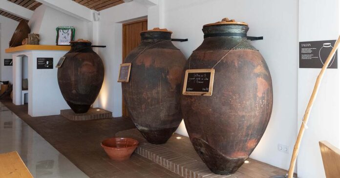 Adega Vidigueira Vinho Talha