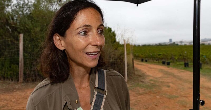 Joana Balsem&atilde;o