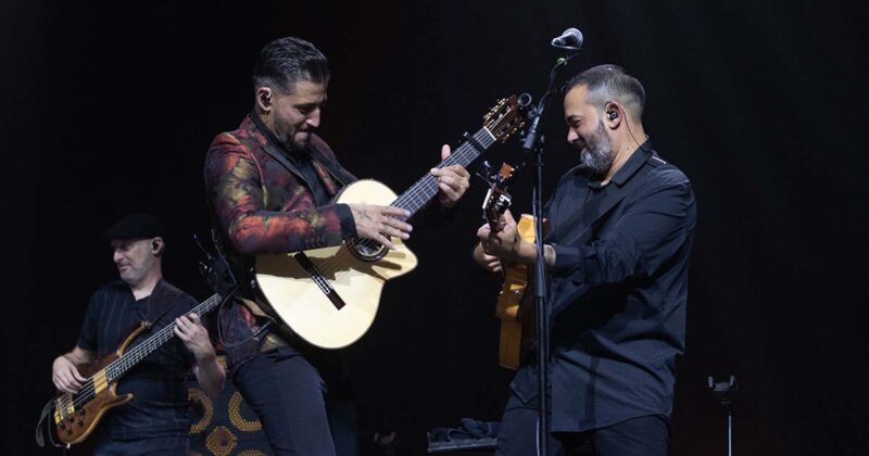 Gipsy King