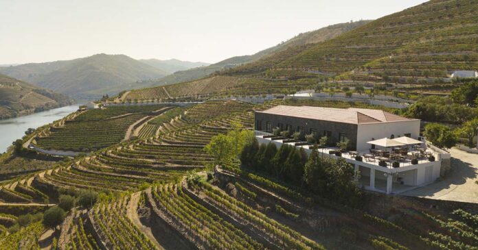 The Vine House