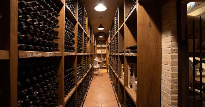 sugestão de vinhos