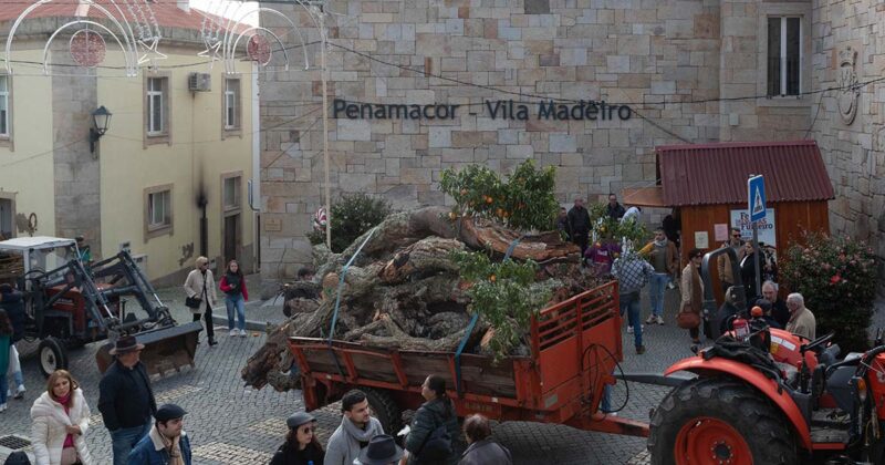 Madeiro Penamacor