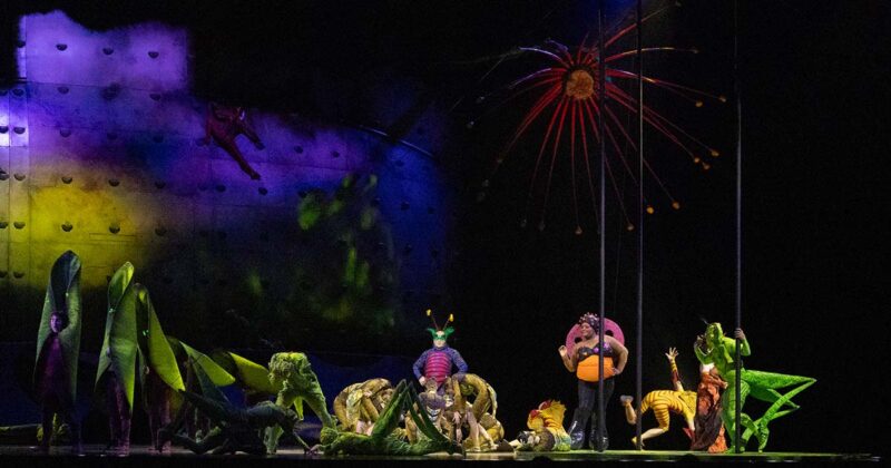 Ovo Cirque du Soleil