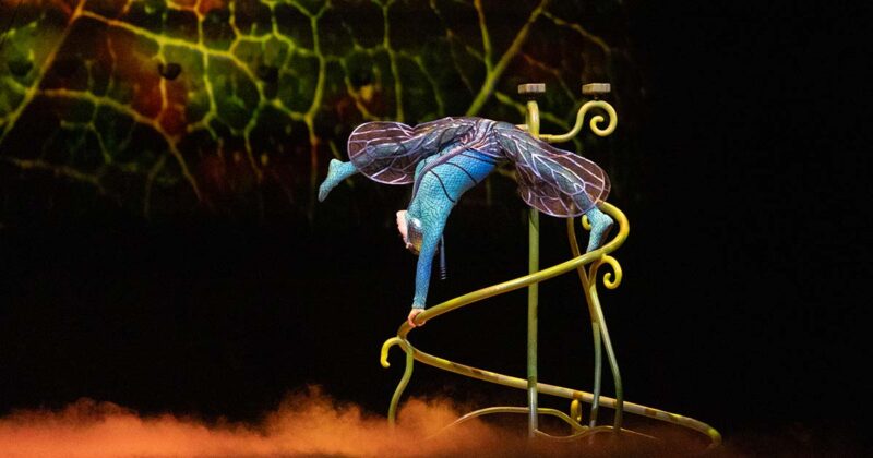 Cirque du Soleil