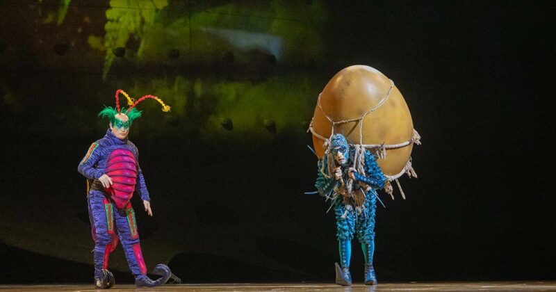 Ovo Cirque du Soleil