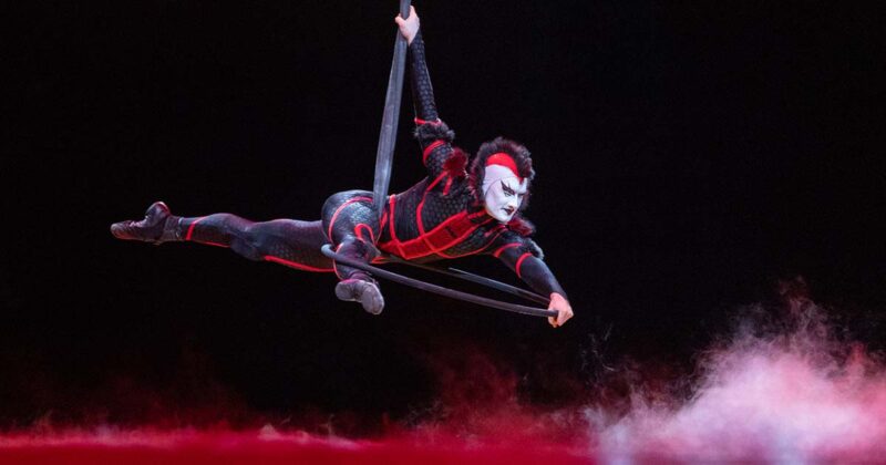 Ovo Cirque du Soleil