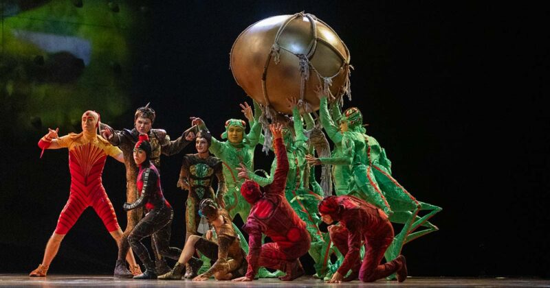 Ovo Cirque du Soleil