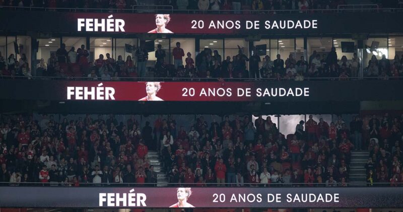 Feher