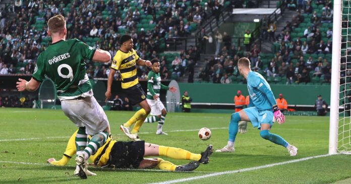 Sporting Young Boys