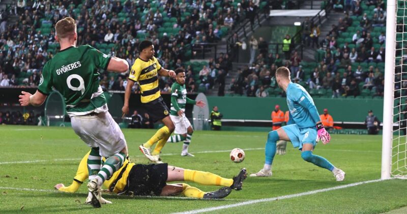 Sporting Young Boys