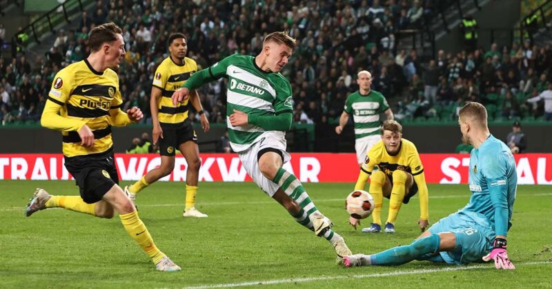 Sporting Young Boys