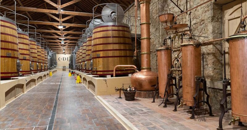 Ode Winery Ribatejo
