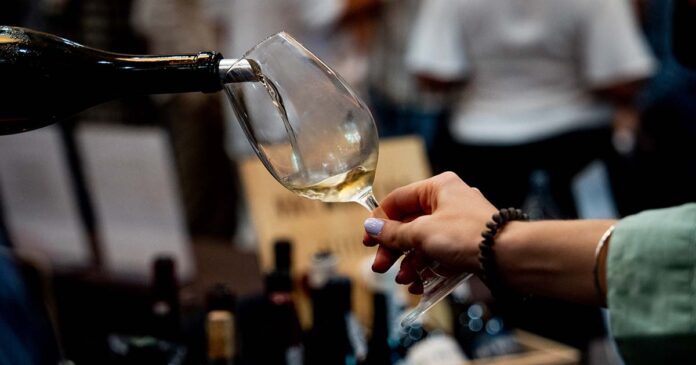 Enóphilo Wine Fest Braga