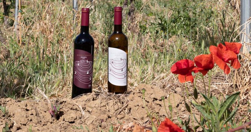 vinhos da Quinta