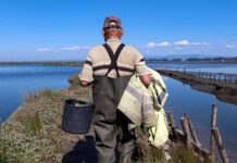 Derivas na Ria convida a explorar a Ria de Aveiro de uma forma única Derivas na Ria