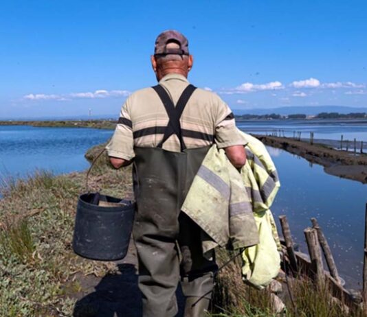 Derivas na Ria convida a explorar a Ria de Aveiro de uma forma única Derivas na Ria