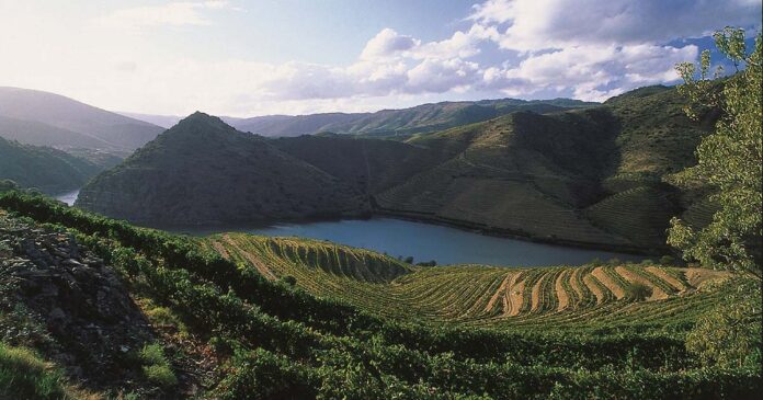 sommeliers no Douro
